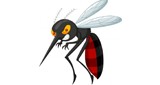 Listen online Radio Mosquito Jatai
