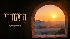 Amichai Pleser
