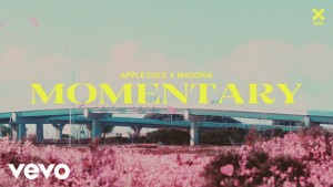 Apple Gule