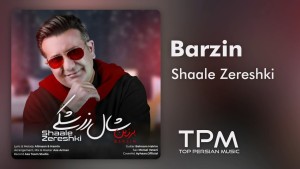 Barzin's Photo