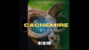 Befa