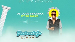 D-Flexx