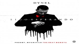 Dynel