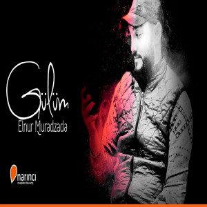 Elnur Muradzade