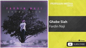 Fardin Naji