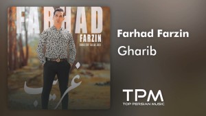 Farhad Farzin