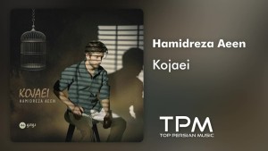 Hamidreza Aeen