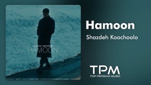 Hamoon's Photo