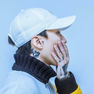 Hash Swan&rsquo;s Biography And Facts&rsquo; | Popnable