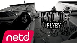 Hayonox