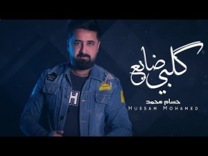 Hussam Mohamed