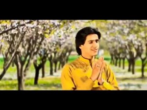 Javed Amarkhail