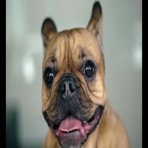 Photo of Jesto