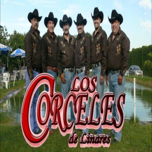 Surat Los Corceles De Linares