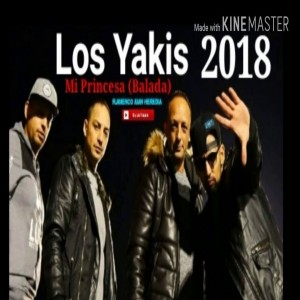 Los Yakis