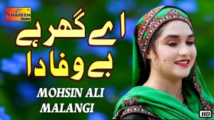 Mohsin Ali Malangi