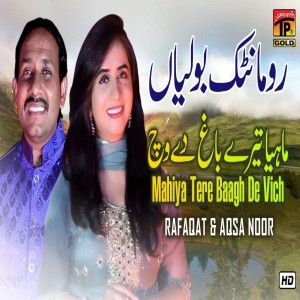 Rafaqt And Aqsa Noor-ის ფოტო