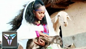 Rahel Okbagaber
