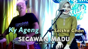 Акси Salsha Chan