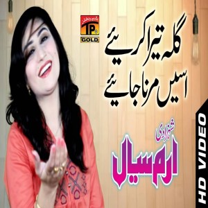 Shehzadi Erum Siyal