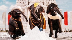 Sohrab Mj's Photo