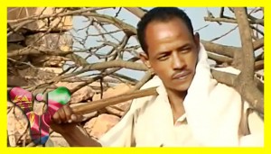 Temesigen Fishaye