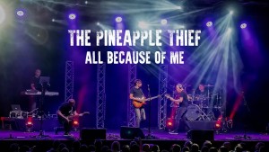 The Pineapple Thief