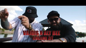 Акси Vajdis