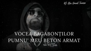 Vocea Bagabonților
