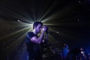 M83's Photo