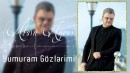 Afshin Azeri