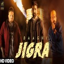 Baaghi's Photo