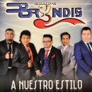 Grupo Bryndis