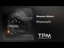 Meysam Akbari