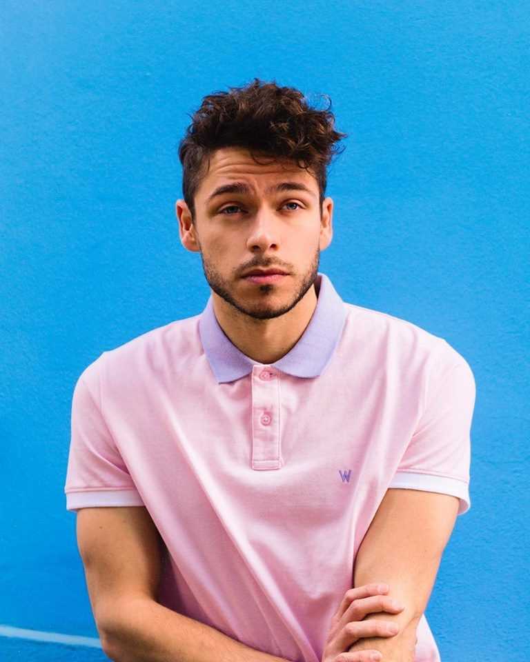 Palm Trees Famous Songs Popnable