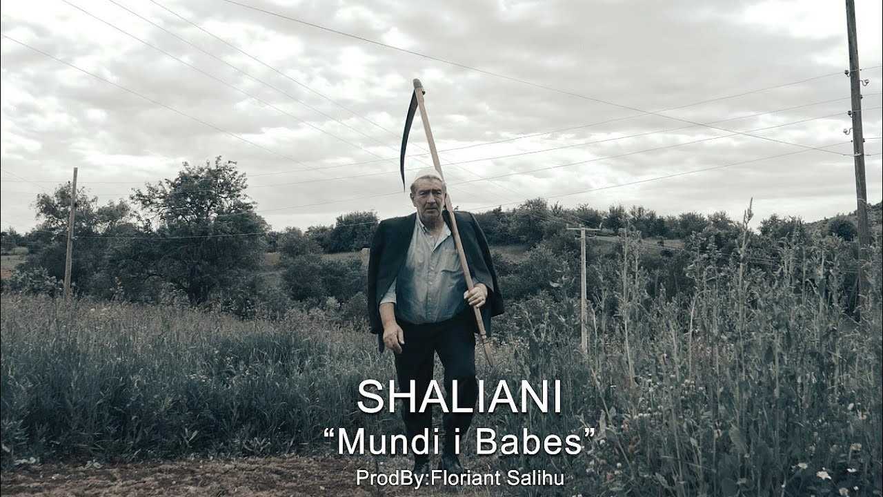 Shaliani