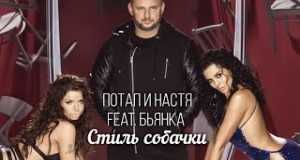 Stily Sobachki