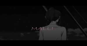 Malli Musiek video