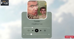 Chauffeur Taxi Video muzikore