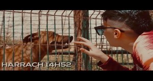 Cv-19 .Vol 2 音乐视频