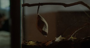 Intentarlo Teledysk