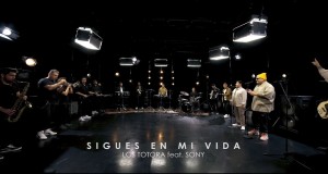 Sigues En Mi Vida
