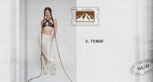 Tengo Clip musical