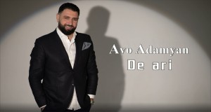 De Ari Musik-Video