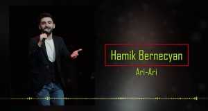 Де ари ари армянская песня. Ari ari армянская. Ari ari валькар текст. Армянский певец алик из башкирии. Ari ari im srti taguhi.