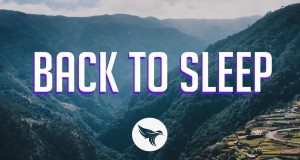 Back To Sleep קליפ