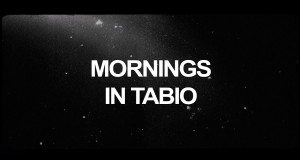 Mornings In Tabio