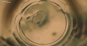 Realise Music Video
