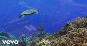 Reef Видеои мусиқӣ