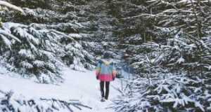 Let It Snow Musek Video